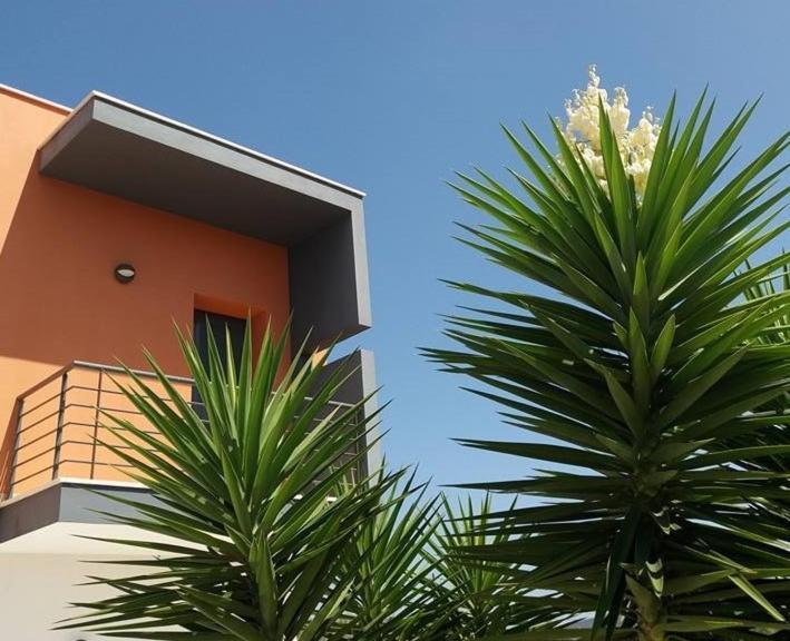 Casa Ceedina Bed And Breakfast & Beauty Batalha Exterior photo